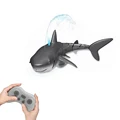 shark gray