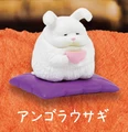 white bunny
