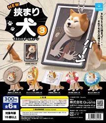 Qualia Cápsulas Sorpresa Peluches Shiba Inu - Regalo Divertido