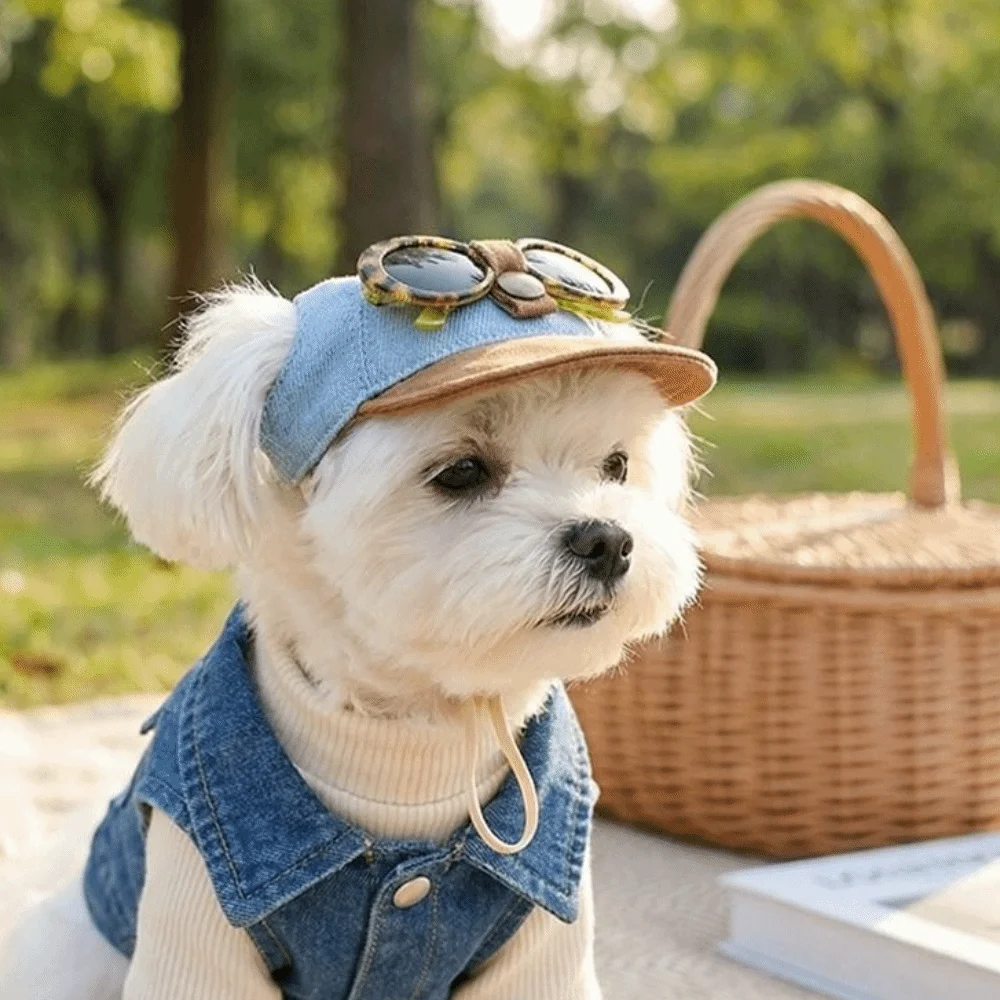 Gorra para perro vaquera con visera ajustable y gafas de sol - imagen 4