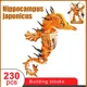 Hippocampus