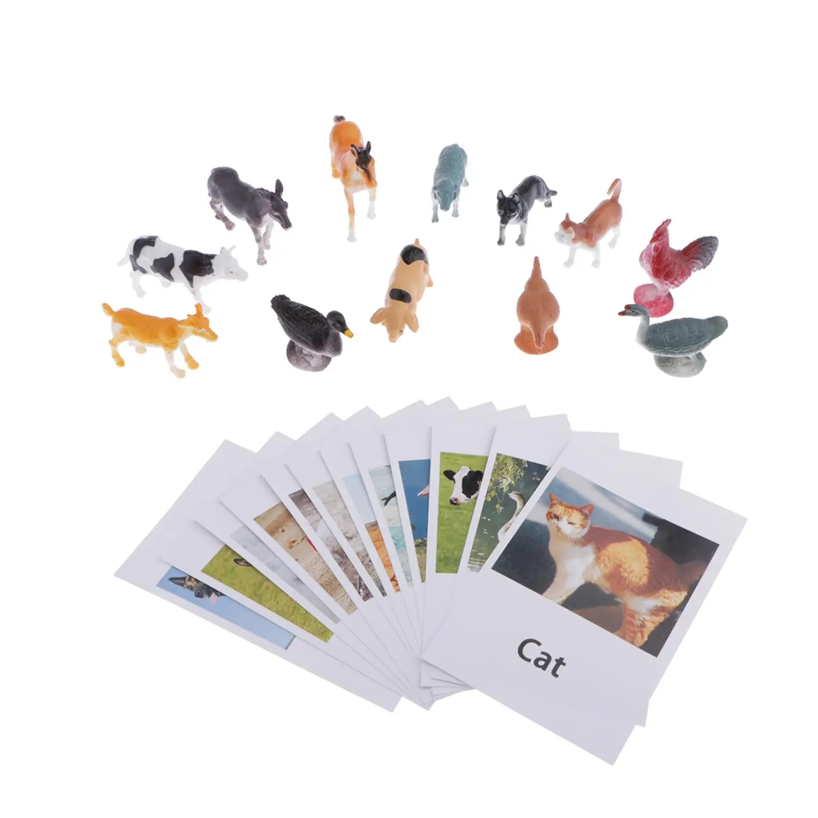 Montessori Animal Match Cards And Figures 12 Pieces Miniature Poultry Animals