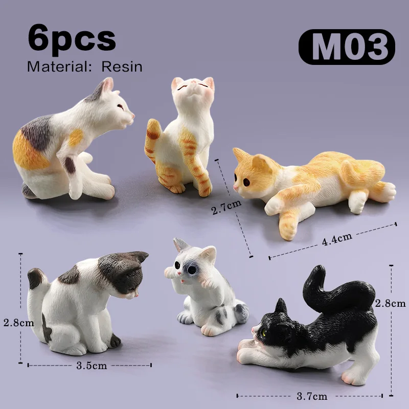 6pcs Cat -M03