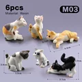 6pcs Cat -M03