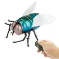 Fly