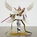 Holy Angemon WithBox