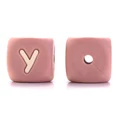 Y