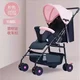 T6 Pink