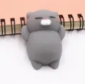 Grey cat