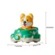 corgi