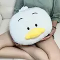 42x35cm Pillow