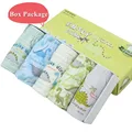 Dinosaur 4-BOX