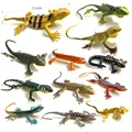 12pcs Lizard