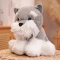 Schnauzer