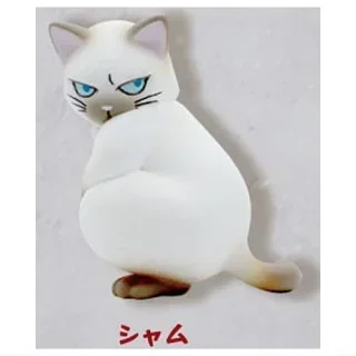 Siamese cat