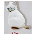 Siamese cat