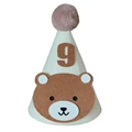 Number Hat 9