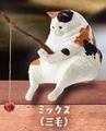 calico cat