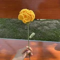  J-Carnation