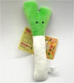 leek