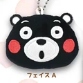 stunned bear