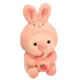 Pink Approx  25CM