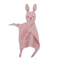 Bunny -1