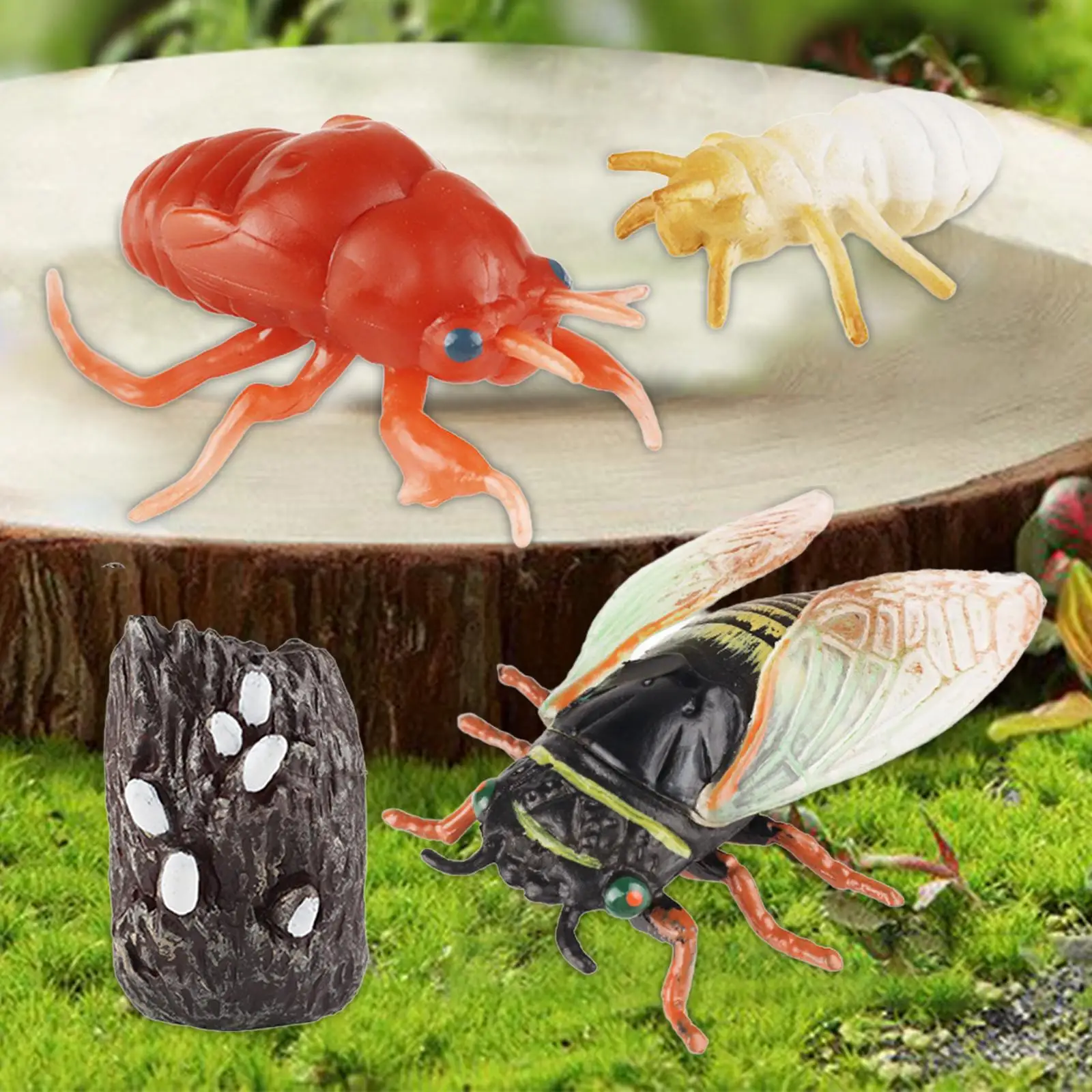 Cicada Life Cycle Set Education Toy Biology Animal Growth Cycle Figures Animals Figurine Toy for Kids Birthday Gifts Children
