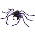 BlackPurple