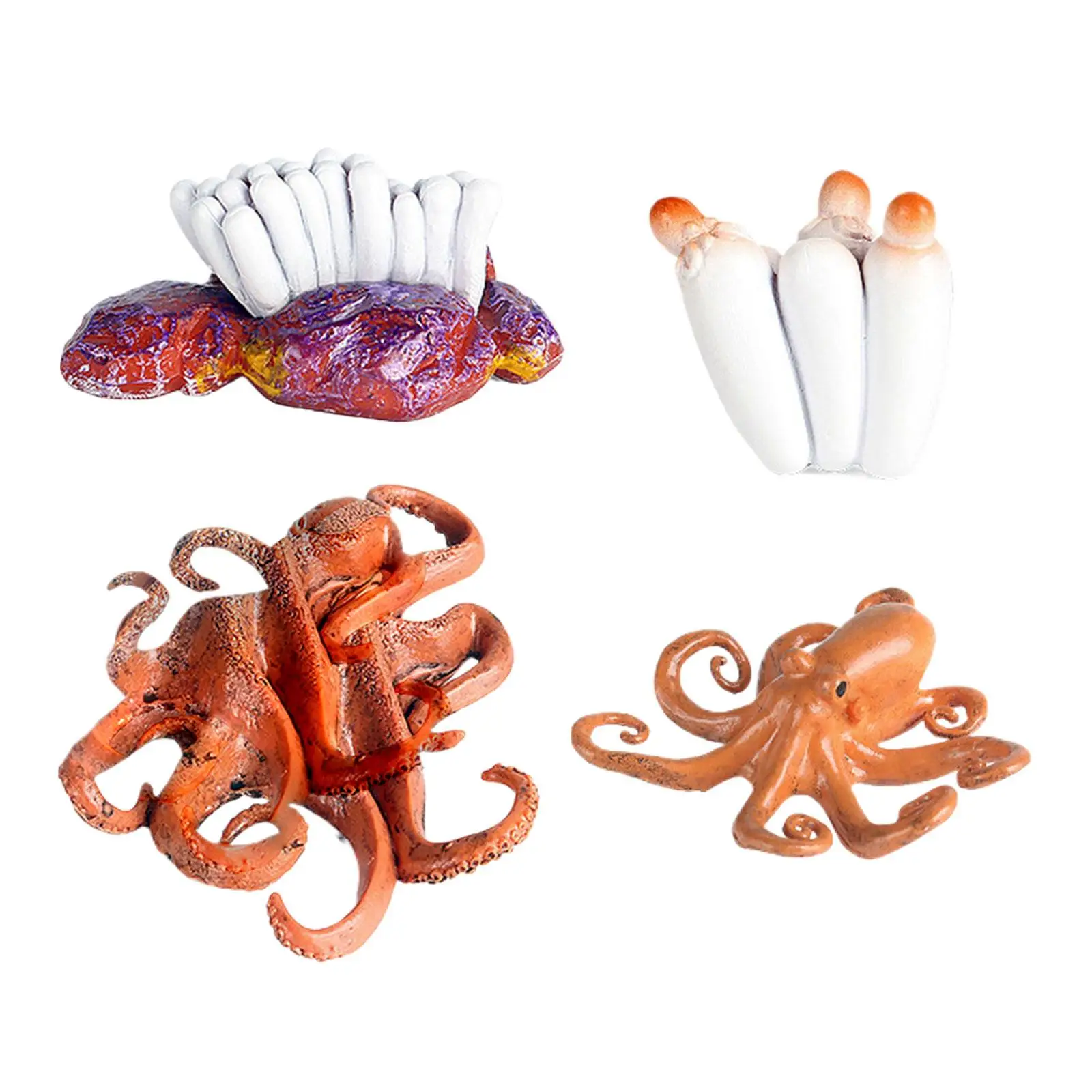 Octopus Life Cycle Set Animal Growth Cycle Simulation Preschool Educational for Children Birthday Gifts Ages 3 4 5 6 Years