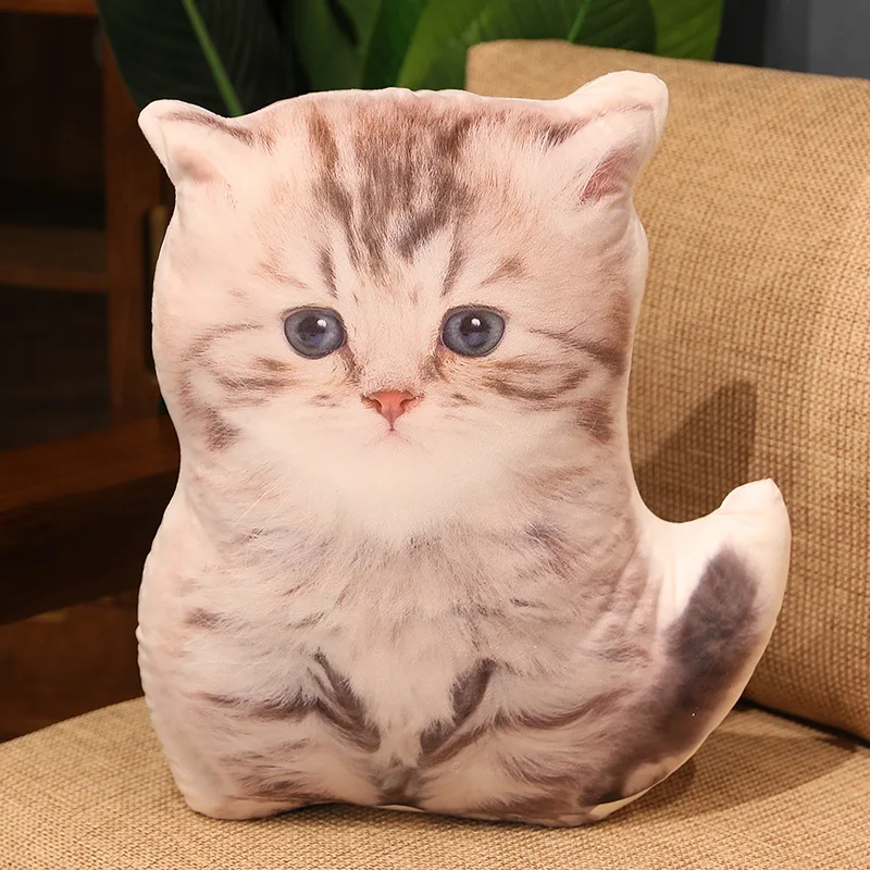 small cat