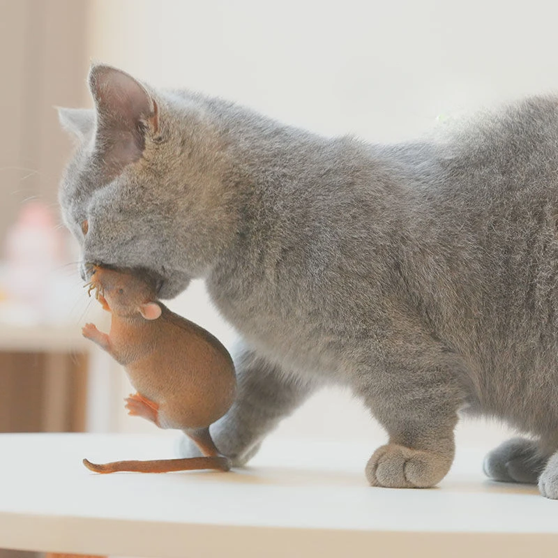 mouse 1 pc