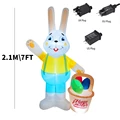 2.1M Rabbit