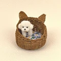 B4-with dog doll