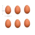 6pcs Chicken Eggs