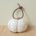 white pumpkin AC