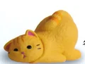 Brown Tabby Cat