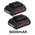 2PCS 5000mAh