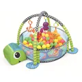 Tortoise with18balls