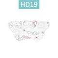 HD19
