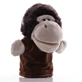 Chimpanzee