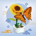 Swallowtail Potted 3