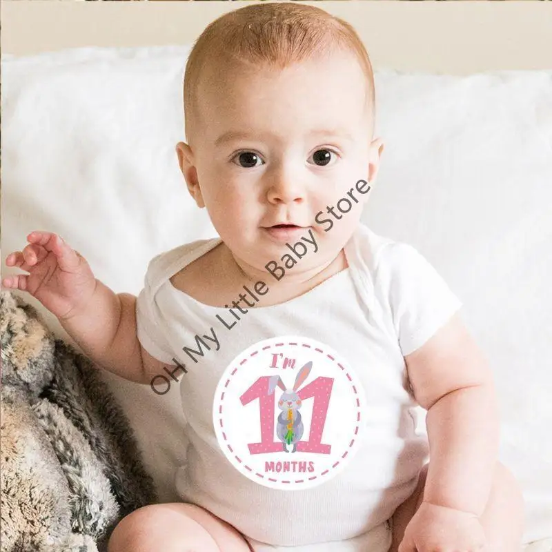 Pegatizas mes M76C para baby boy girl animales estampado impresión 12 tarjetas coloridas unisex - imagen 4
