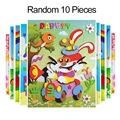 10pcs