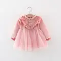 1585 Pink