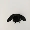 Black Bunny Ear