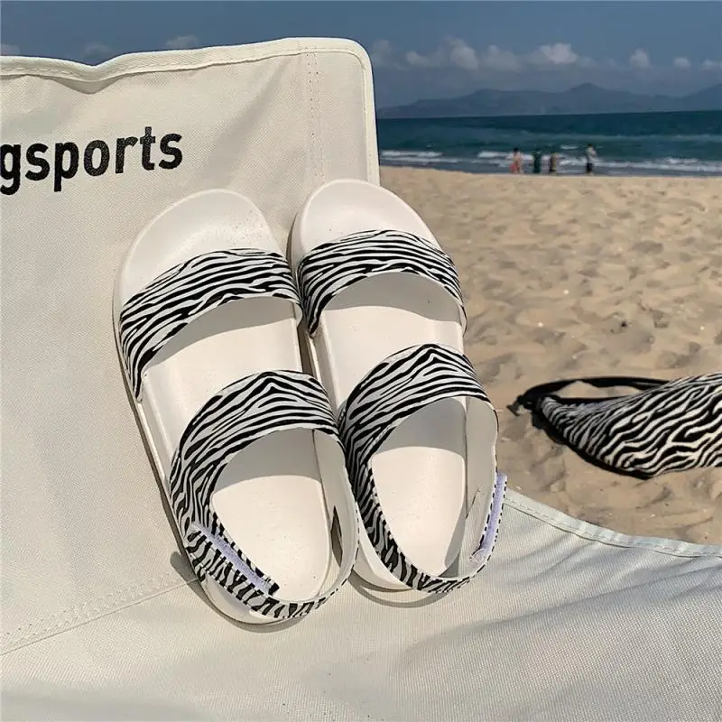 zebra white