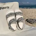 zebra white