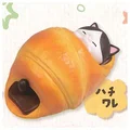 Hachi cat