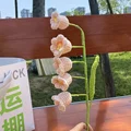 105456-E-orchid